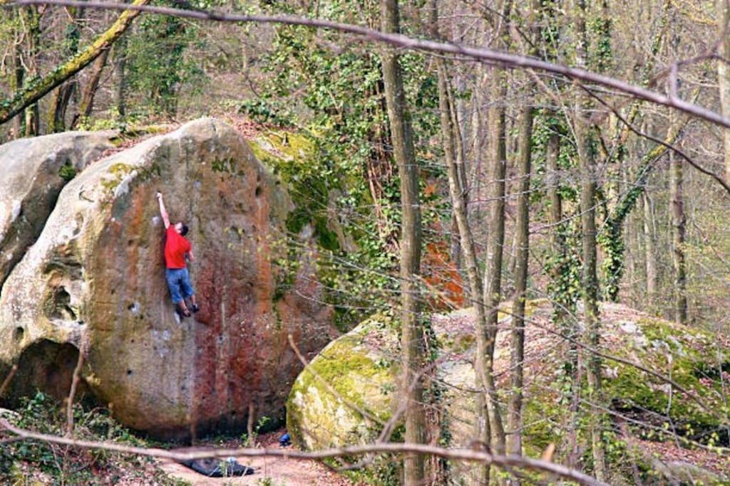 Appartamento Le Belly - Fontainebleau Esterno foto